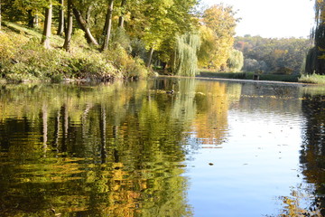 Nature
