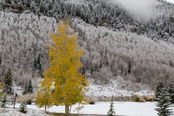 First snow of the season Vail Co.
