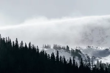 Photo sur Plexiglas Forêt dans le brouillard Une tempête extrême souffle de la neige sur North Star Mountain dans le comté de Park, Rocky Mountains, Colorado