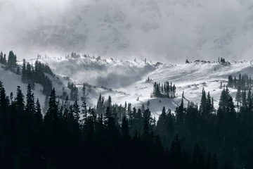 Schapenvacht deken met patroon Mistig bos Severe winter weather in the Rocky Mountains, Colorado