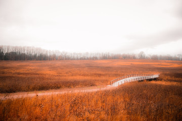 traditional bridge with orange grass fields on cloudy sky background in winter - Philadelphia, Pennsylvania USA 