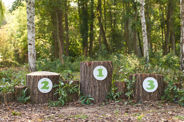 winners podium for 3 places in the stump forest