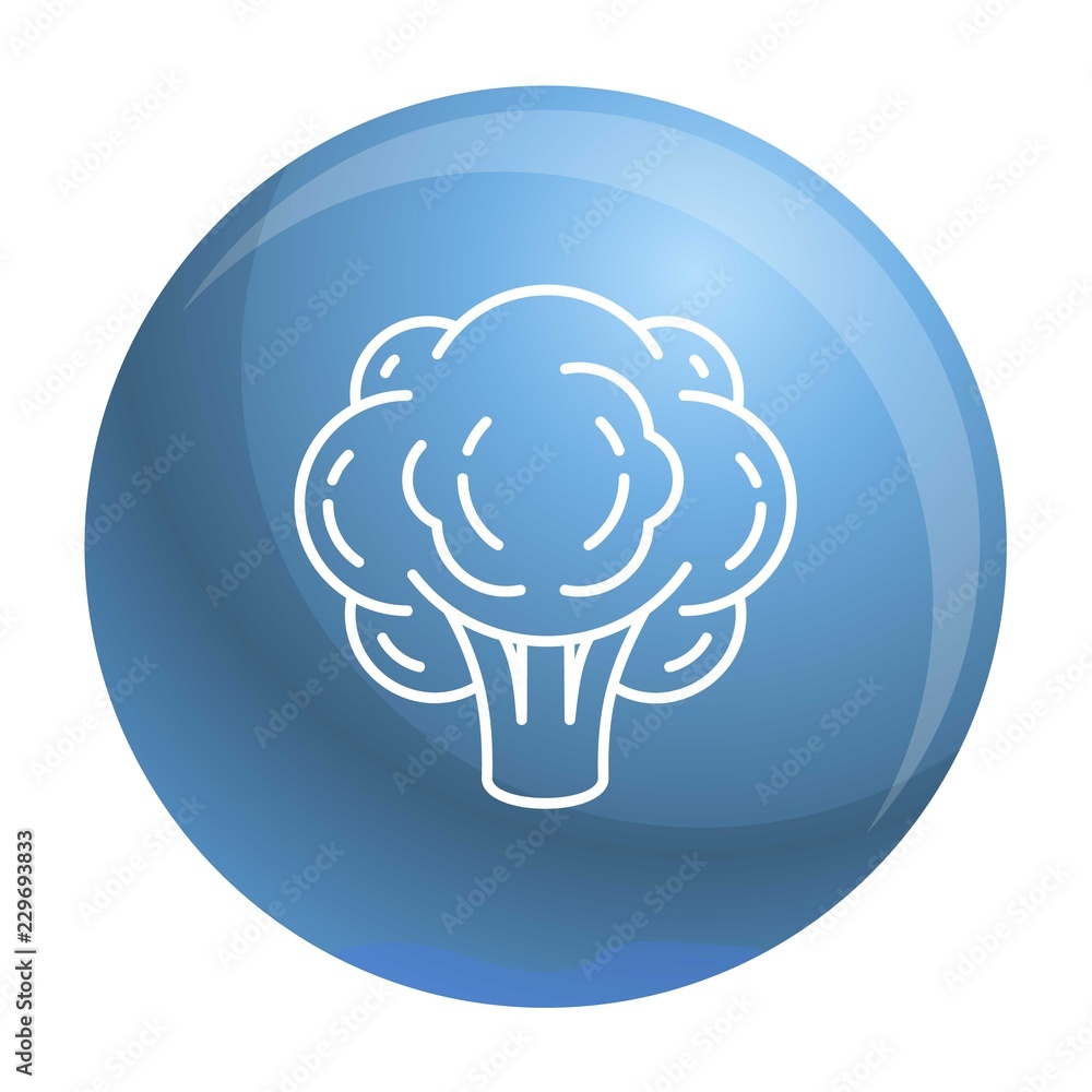 Poster eco broccoli icon. outline eco broccoli vector icon for web design isolated on white background