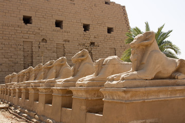 ancient egyptian heritage temple