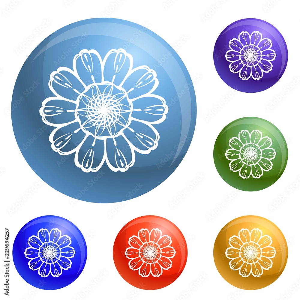 Poster top view calendula icons set vector 6 color isolated on white background