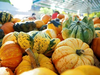 Pumpkins on a market stand for Helloween 