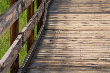 Wooden boardwalk in park. Copy space