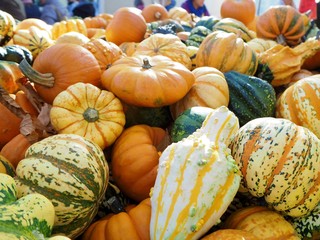 Pumpkins on a market stand for Helloween 