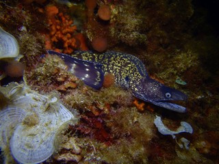 moraine on the Mediterranean Sea in Mallorca, Spain