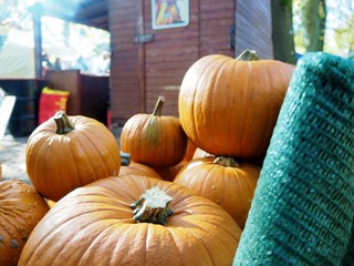 Pumpkins on a market stand for Helloween 