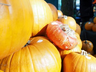 Pumpkins on a market stand for Helloween 