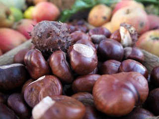 Chestnuts with different fruits