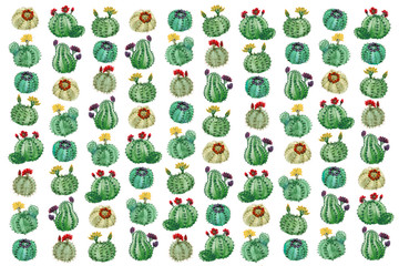 Cactus Pattern