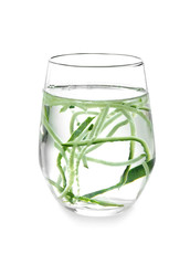 Glass of fresh cucumber water on white background