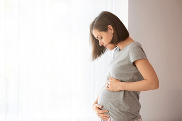 Beautiful pregnant woman near window at home
