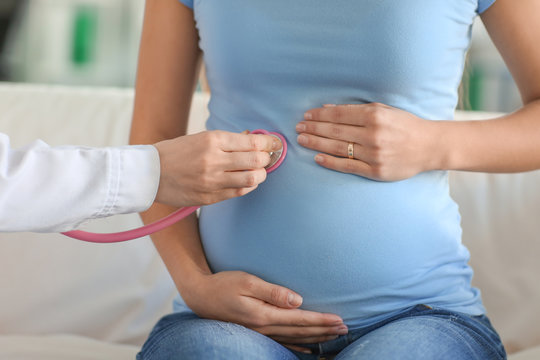 Young doctor examining pregnant woman in clinic