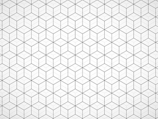 Fototapeta premium Abstract geometric background with cubes. Geometrical concept with lines