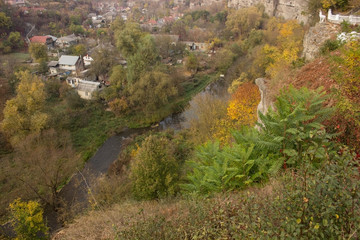 autumn in the park