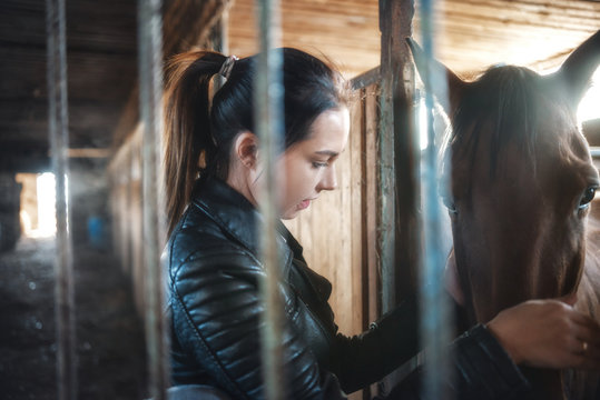 a girl in a black jacket stroking a brown horse. Horse in the stable