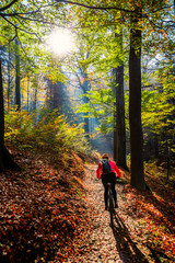 Obraz premium Cycling, mountain bikeing woman on cycle trail in autumn forest. Mountain biking in autumn landscape forest. Woman cycling MTB flow uphill trail.