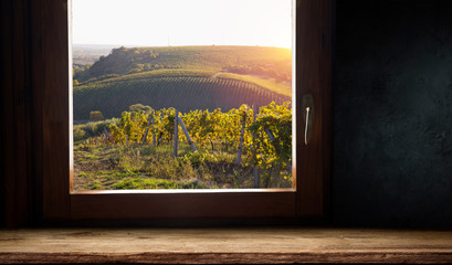 Wine bottles, wineglasses, barrels next to the cellar window and beautiful panoramic view of countryside vineyards: winemaking and wine culture concept