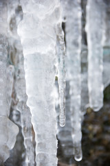 Obraz na płótnie Canvas Big icicles in winter 