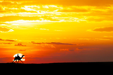 Obraz na płótnie Canvas People ride Camel running through Thar Desert in India, Show silhouette and dramatic sky
