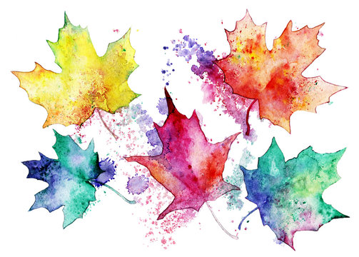 Autumn leaves on white background, collection of elements for creativity. Colorful watercolors.  Set of multicolored leaves.