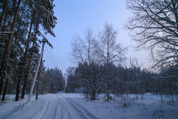 Snow road in the forest in winter