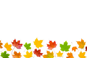 Welcome autumn. Fresh, colorful maple leaves isolated on white background. Bright colors. Empty place for inspirational, positive text, quote or sayings. Top view. Clipping path. Cut out.