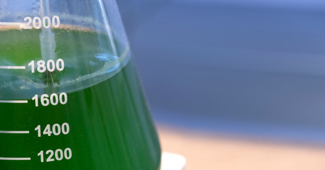 Scale Beaker Filled With Green Fluid, Copy Space On Right Side 