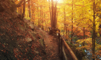Mountain pathway in Carpathians, Pilypets. Autumn panorama near the waterfall Shypot, Ukraine.