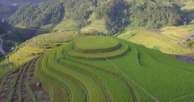 Vietnam landscapes with terraces rice field. Rice fields on terraced of Mu Cang Chai, YenBai. Royalty high-quality free stock video of beautiful terrace rice fields prepare the harvest at Vietnam