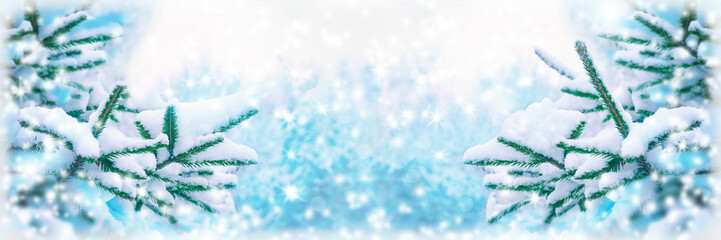 Beautiful fir tree covered snow, closeup. Winter Christmas greeting card panoramic background, copy space. Holiday spruce branches landscape, falling snowflakes. Nature panorama. Soft blue toned