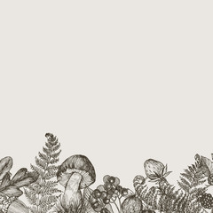 Forest plants border with mushrooms, fern, berries. High detailed hand drawn background. Vector design. Forest nature. Place for text