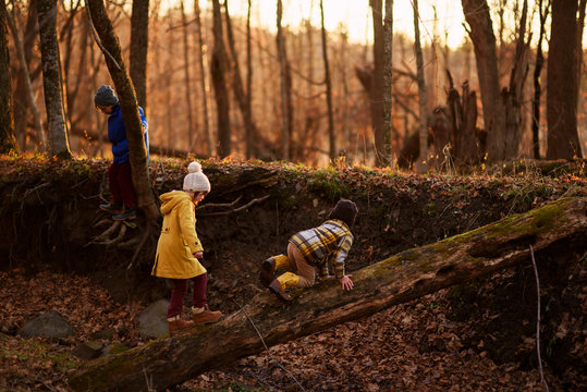 Three children playing in the woods, United States