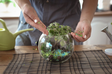 process of creating composition glass terrarium