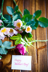 beautiful blooming roses and a greeting card for the mother