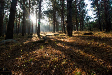 Sunny landscape of the southern Urals