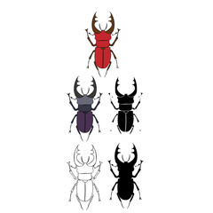  isolated red beetle