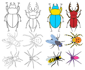 isolated, insects, beetles, set of sketches, coloring book