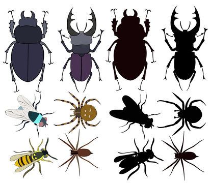 insects, beetles, silhouette set