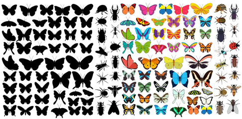 Obraz premium isolated, set of insects, beetles and butterflies