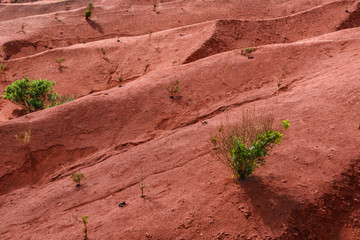 Pustynny krajobraz. czerwone skały, La Gomera - obrazy, fototapety, plakaty