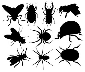 vector, isolated, set of silhouettes of different insects