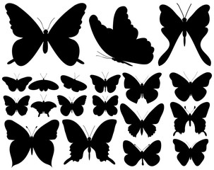 Naklejka premium isolated, set of beautiful butterflies silhouette