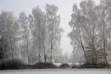 Landschaft mit Bäume im Rauhreif, Winter, Deutschland
