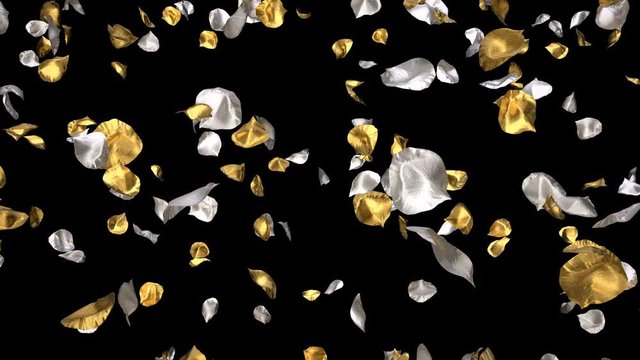 Romantic flying golden silver metal rose flower petals for St. Valentine's Day, Mother's Day, wedding anniversary greeting cards, invitation or birthday e-card. Seamless loop 4k alpha channel isolated