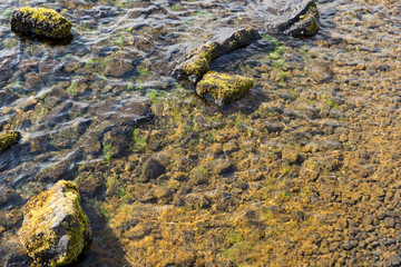 Stones covered with moss in the clear water of the lake