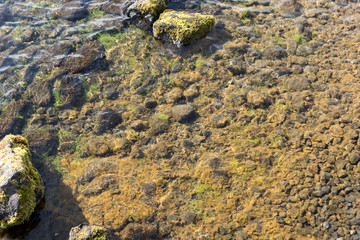 Stones covered with moss in the clear water of the lake